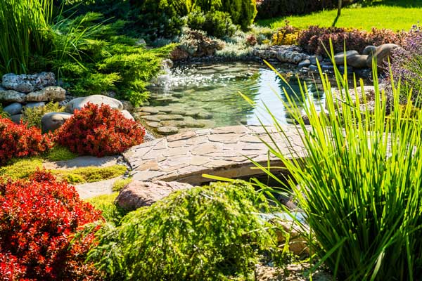 Colorful Landscaping with small pond and stone walkway