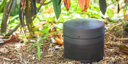 Small Outdoor Speaker in Landscaping