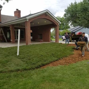 Workers Laying Grass on Beautiful Green Landscape