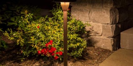 Night time view of lighting in landscape