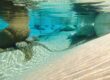 Underwater view of large rocks and sand in biodesign pool