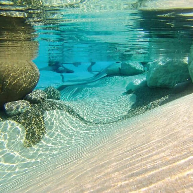 Underwater view of large rocks and sand in biodesign pool