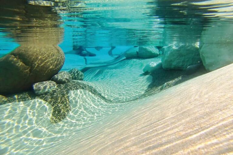 biodesign2 Underwater view of large rocks and sand in biodesign pool