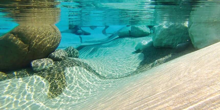 biodesign2 Underwater view of large rocks and sand in biodesign pool